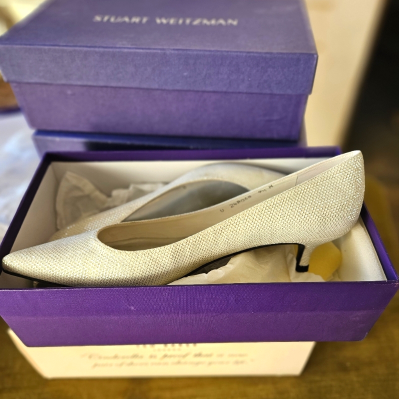 Silver Shimmer Kitten Heel